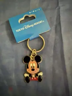 東京ディズニーリゾート ミッキー型キーホルダー