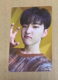 SEVENTEEN ホシ あいのちから トレカ