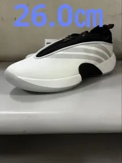 Item thumbnail for item 239b6151-acc1-4583-b1c5-93a31f5717c0