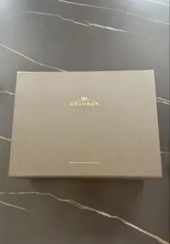 【新品未使用】DELVAUX デルヴォー 空箱・保存袋・紙袋・リボン セット