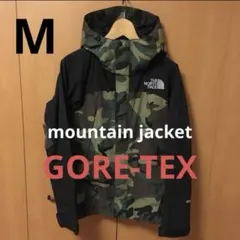 ノースフェイスマウンテンジャケット GORE-TEX ／廃盤希少カモ迷彩