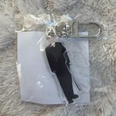 seventeen カプセルトイ　ガチャ　エスクプス