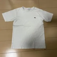 LACOSTE Tシャツ