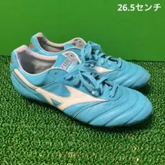 Mizunoモレリア2Japan ワールドカップモデル26.0 廃盤 - メルカリ