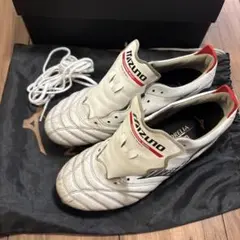 Mizuno Morelia Neo Ⅳ JAPAN 25.5cm