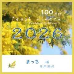 まっち様専用商品