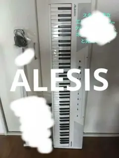 Alesis Recital 電子ピア88鍵--キーボードのみのサムネイル