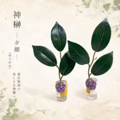 能作 花小鉢 2ヶセット 梅 桜 | Mercari