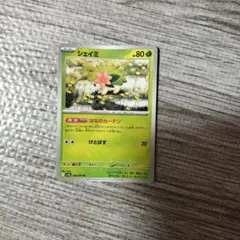 シェイミ ポケモンカードのサムネイル