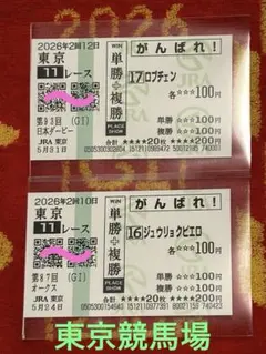JRA 勝馬投票券 第87回オークス 16番 ジュウリョクピエロ コピー馬券 