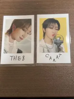 THE8 インスタントフォトステッカー　seventeen