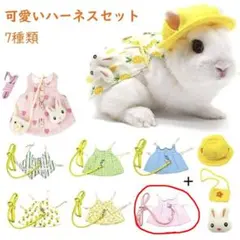 小動物用ハーネス リード セット Sサイズのサムネイル