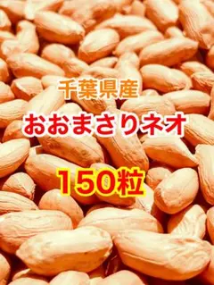 2026年最新】おおまさりネオの人気アイテム - メルカリ