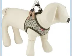 小型犬用 ハーネス リードッグ