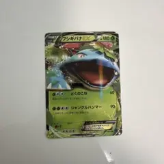 フシギバナEX 006/060RRのサムネイル