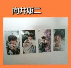 向井康二 Snow Man Myojo7月号厚紙カード