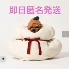 Item thumbnail for item 39d34c23-ec7b-49e7-adb8-cdc8d3e30efc