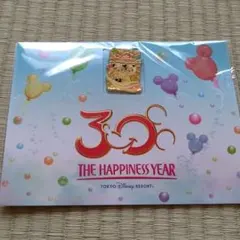 東京ディズニーリゾートライン 30周年記念 ピンバッヂ