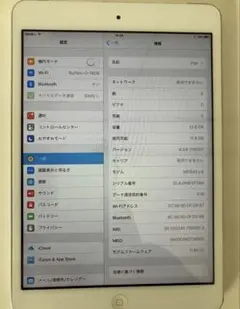 iPad mini Wi-Fi+Cellular 16GB シルバー　中古