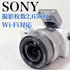 2026年最新】sony nex-5tの人気アイテム - メルカリ