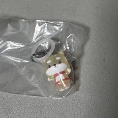 JOCHUM めじるしアクセサリー まめちぃ