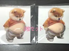 超かわいい！柴犬おなかもちぷにステッカー2枚セット