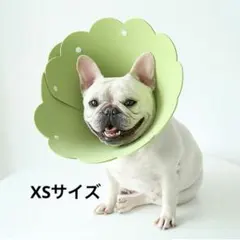 Alien Pet エリザベスカラー 猫用 犬用 傷舐め防止 XS/グリーン