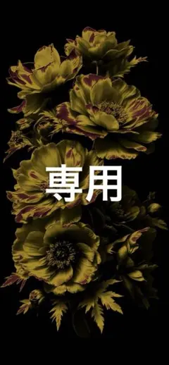 オガワ ハンディラッセル除雪機【引取り限定】 - メルカリ