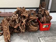 あん様専用 山葡萄の蔓 初物 2.5キロ - メルカリ