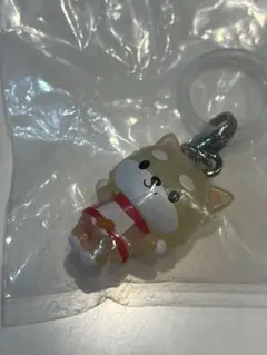 JO1 じぇおちゃむ　ガチャガチャ　めじるしアクセサリー　まめちぃ