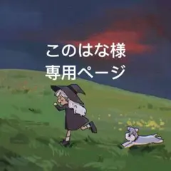 このはな様 リクエスト 3点 まとめ商品