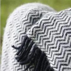 Item thumbnail for item 42949d39-f6a7-47ad-aa90-8a9f9be582e6