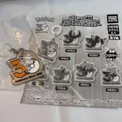 ポケモンめじるし 30周年 メタルチャームマスコット ソルガレオ