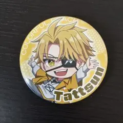 カラフルピーチ たっつん メタル缶バッジコレクション からぴち メタ缶