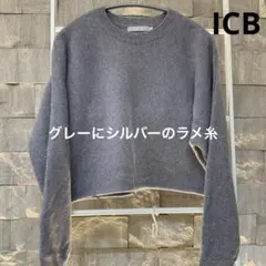 ICB クロップトニット　ラメ糸　グレー　サイズ表記S（9号）
