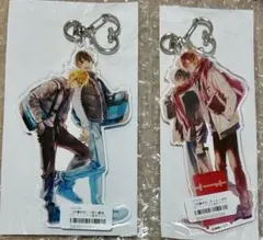 佐々木と宮野 ビッグアクリルキーホルダー アニメイト限定 8巻 特典