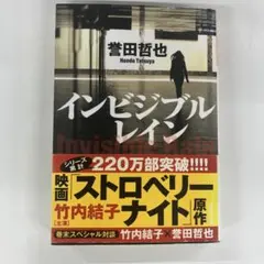 インビジブルレイン