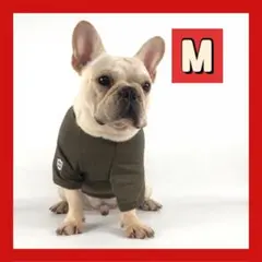 Item thumbnail for item 2b889a69-f6fb-4091-b416-6d0fd200202a