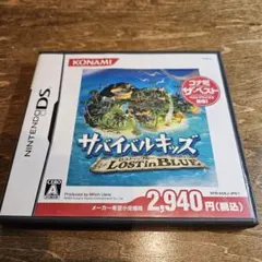 サバイバルキッズ LOST in BLUE　DS
