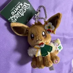 ポケパークカントー　イーブイ