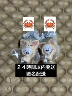 SKZOO つまんでつなげてますこっと vol.2★ヒョンジン　セット★スキズ②