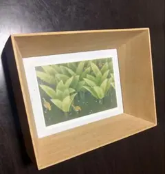 Item thumbnail for item 214473ca-c8b2-430c-b887-98d8f6250e37