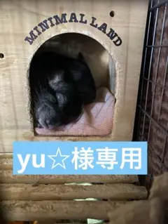 yu☆様専用