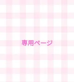 専用ページ