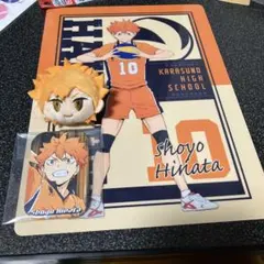 2025年最新】ハイキュー日向翔陽の人気アイテム - メルカリ
