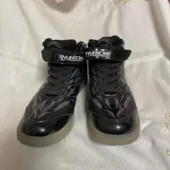 Item thumbnail for item 8fd01d96-250b-405f-a1a7-23b6ca66b1d7