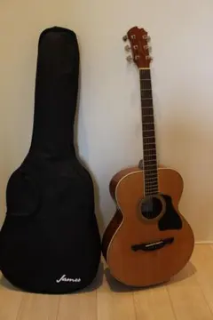 2026年最新】james アコギの人気アイテム - メルカリ