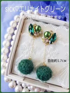 送料140円込【B級品】スワロクリスタル♪emiおすすめ♪冬季♡エリナイト