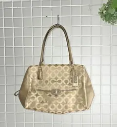 Item thumbnail for item 6c6921cd-4f59-410a-bec4-2ec06f83fbd8