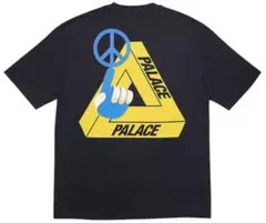 Item thumbnail for item c54eb7cf-f6b5-4db6-9384-a6848a0a2dab